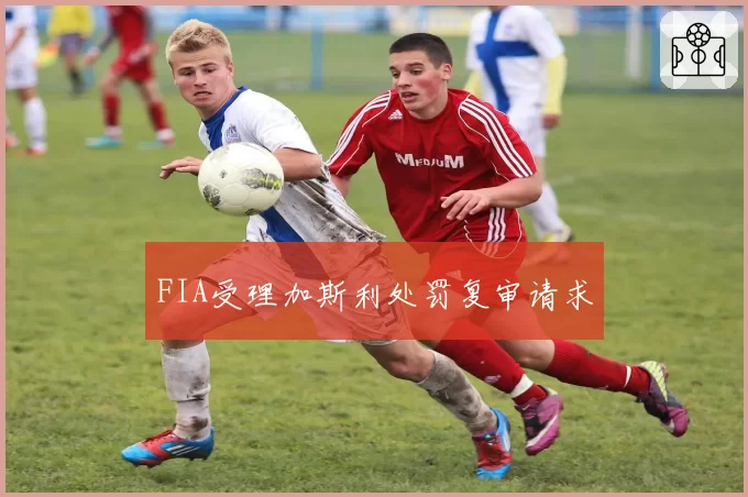 FIA受理加斯利处罚复审请求