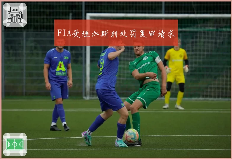FIA受理加斯利处罚复审请求
